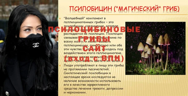 метадон Новозыбков