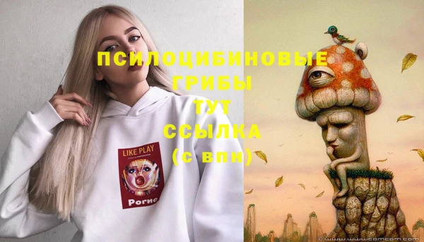 метадон Новозыбков