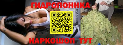Альфа ПВП Апшеронск