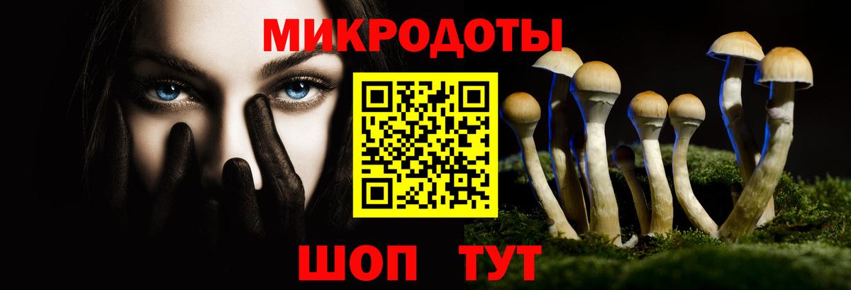 Псилоцибиновые грибы Cubensis Балашиха